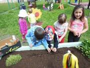 Zahrádka ve školce